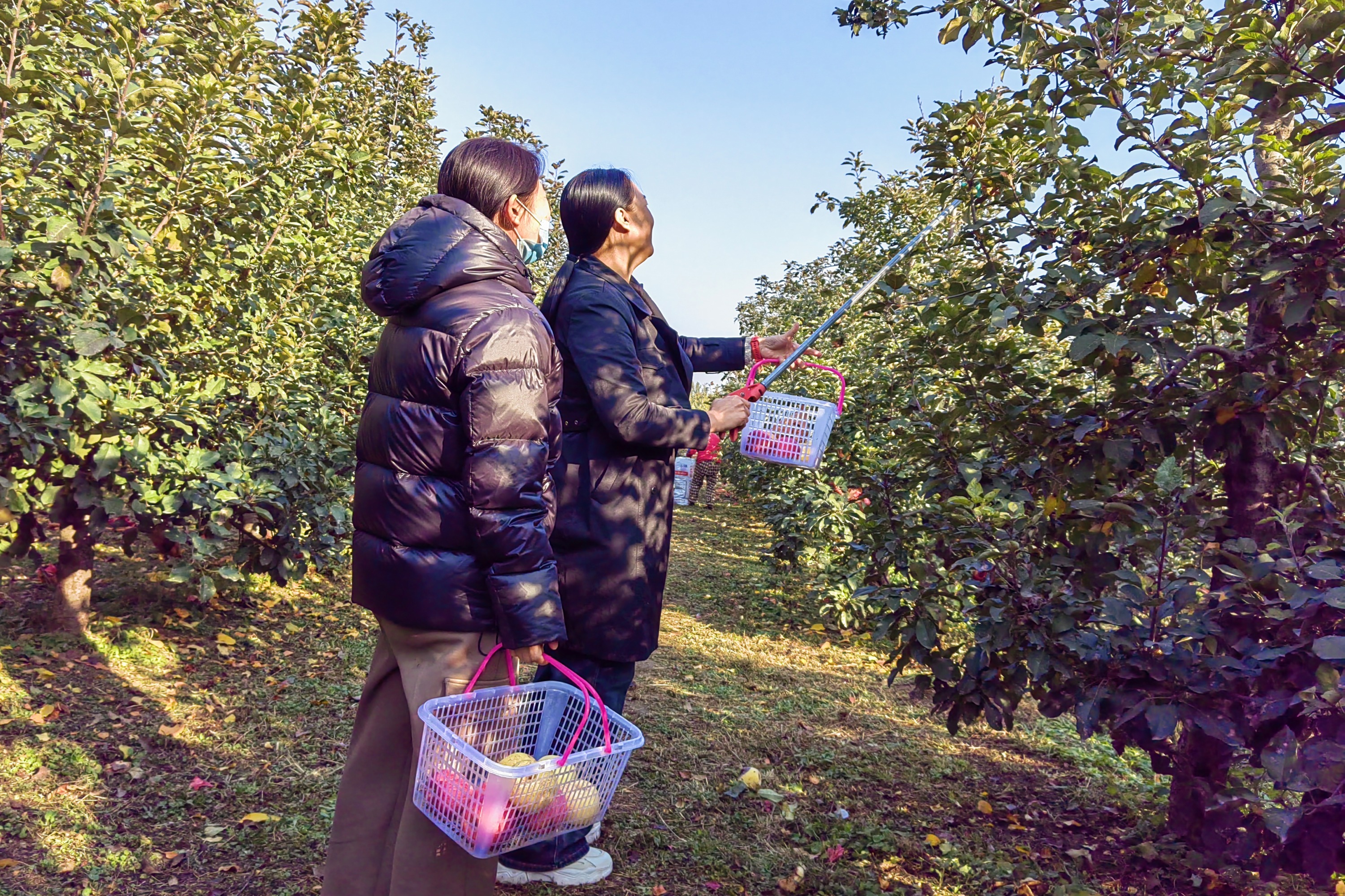 图片默认标题_fororder_002