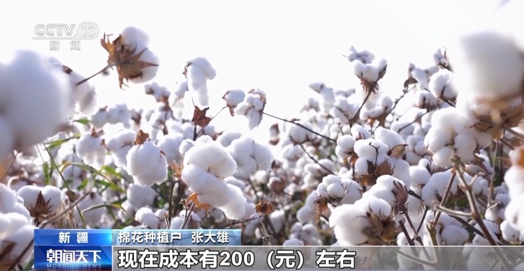 全国秋粮收获已过七成！来看各地丰收景象→