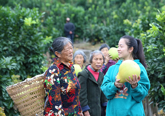 重慶巴南舉行重馬親子系列活動及接龍蜜柚採摘活動_fororder_微信圖片_20231113140330
