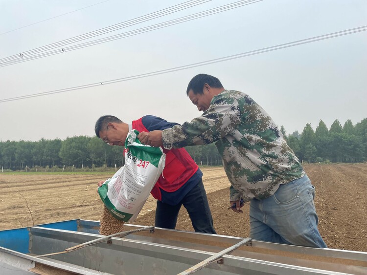 图片默认标题_fororder_4