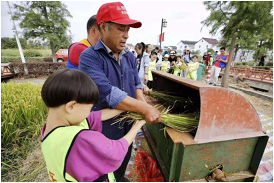 （供稿 食品列表 三吴大地苏州 移动版）第二届太湖良禾稻米节在苏州吴中上林村开幕