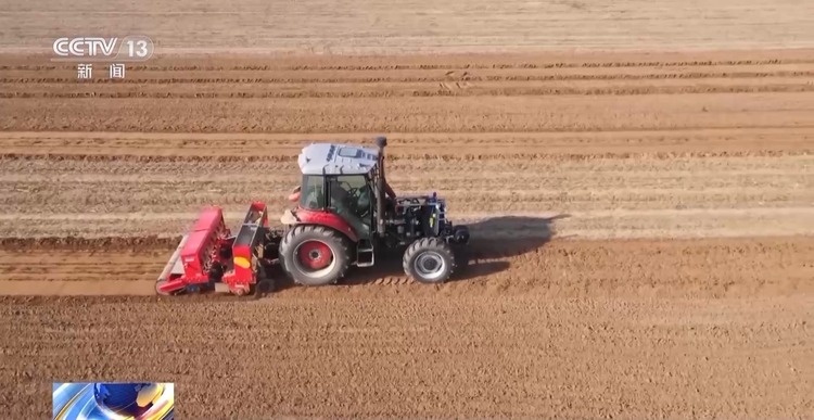 全国秋粮收获已过七成！来看各地丰收景象→