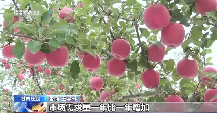 全国秋粮收获已过七成！来看各地丰收景象→