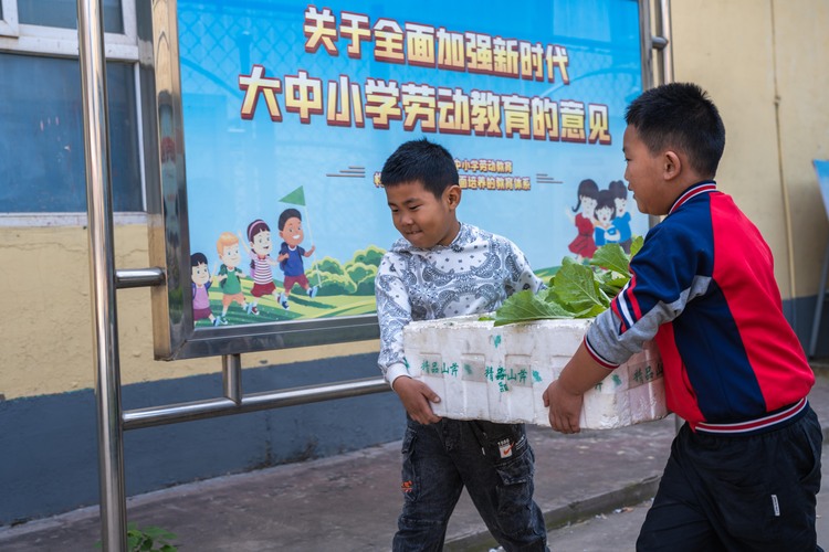 河北柏鄉:“蔬”地知艱 珍惜“糧”緣_fororder_微信圖片_20231018151406