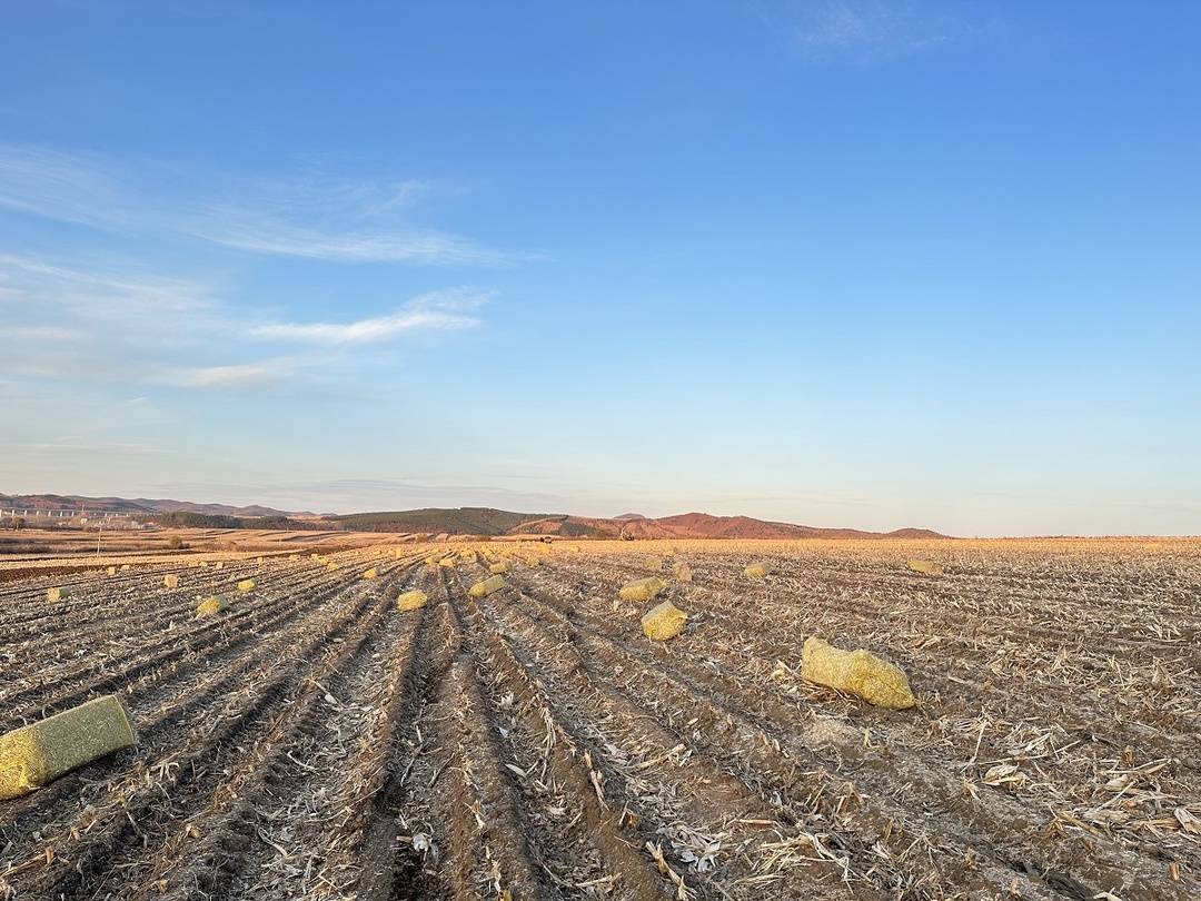牡丹江林口：開展秸稈離田行動 全面推進秸稈綜合利用