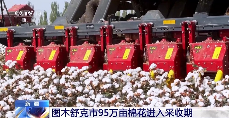 全国秋粮收获已过七成！来看各地丰收景象→