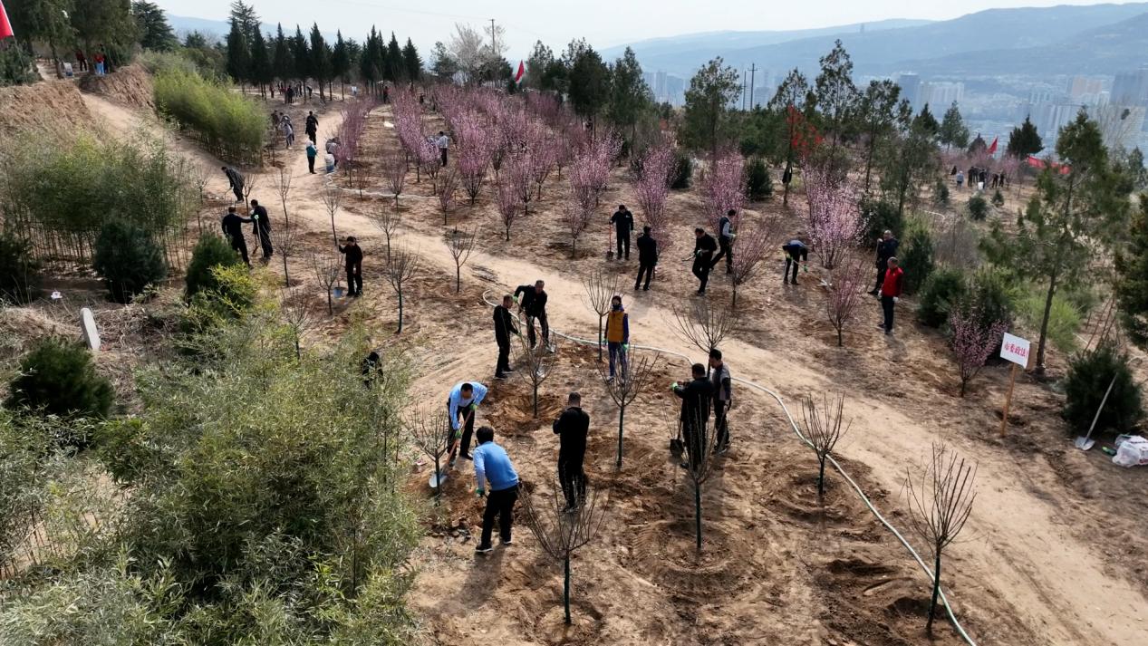 天水秦州：厚植生態本底 建設美麗秦州_fororder_圖片5