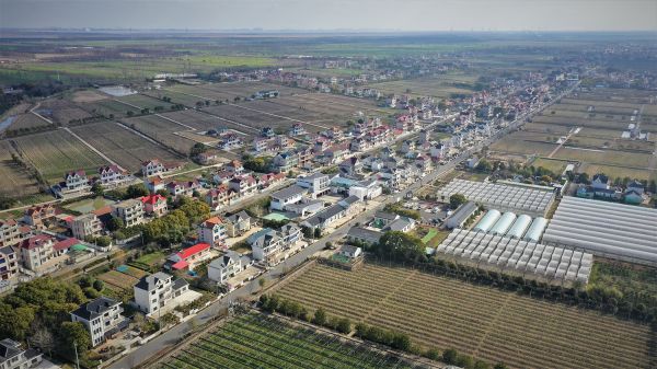 【大国新村：沿着总书记的足迹】上海崇明：美丽经济扮靓和美乡村