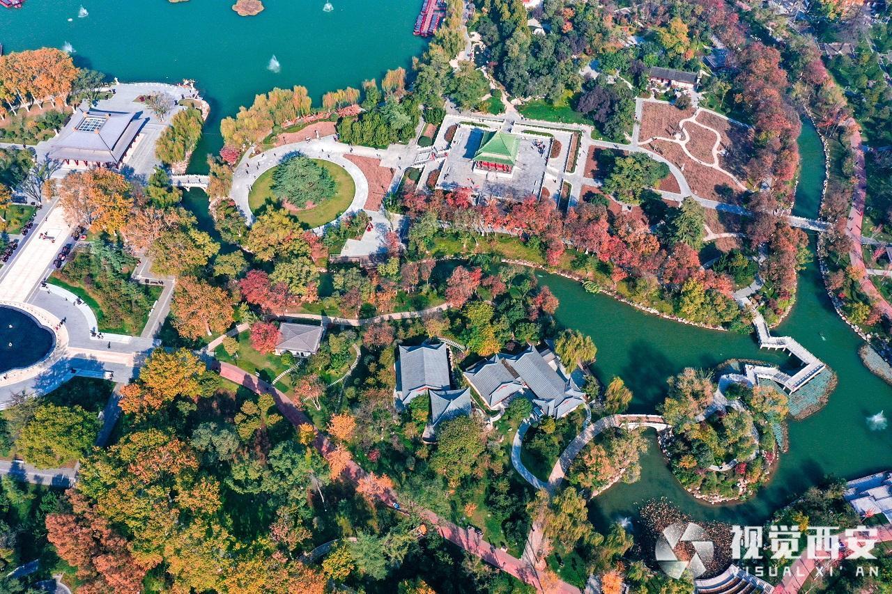 初冬兴庆宫公园宛如缤纷画卷