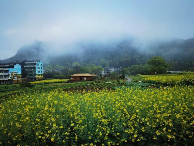 浙江温州：用艺术为乡村“上色” 好风景带来好“钱景”