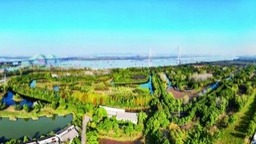 南京：三橋濕地公園生態景觀美