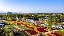 第二屆南方花卉苗木交易會在桂林舉辦 首日完成投資意向額約30億元