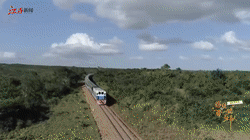 国际青年说｜遇见“一带一路”乐队