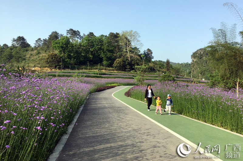 图片默认标题_fororder_4月8日，游客在大阳幽谷花海踏青赏花。