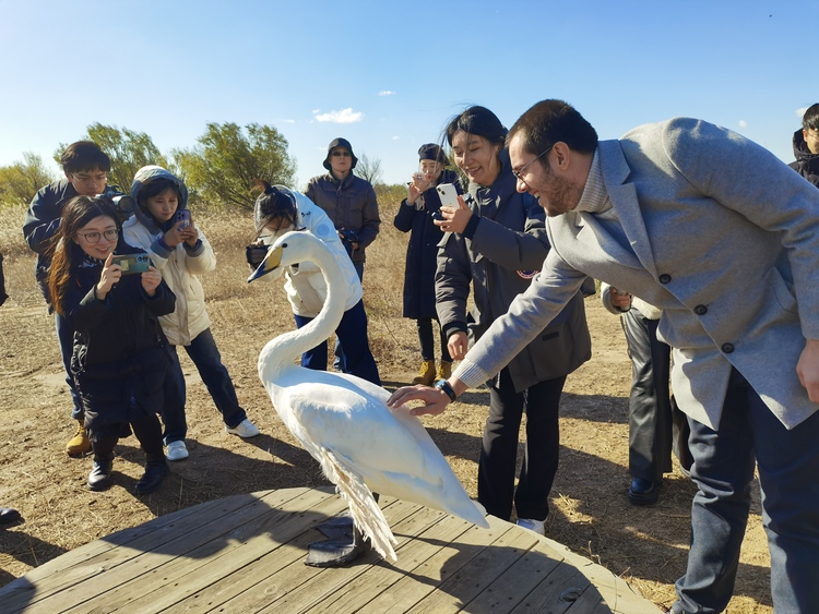 【Hi，Shandong】多彩东营：走进东营黄河三角洲 沉浸感受黄河生态之美_fororder_WechatIMG1388