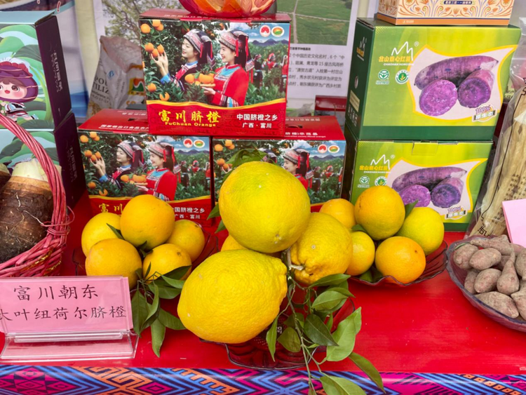 “中国脐橙之乡”富川迎丰收 产量预计达74.39万吨_fororder_图片2