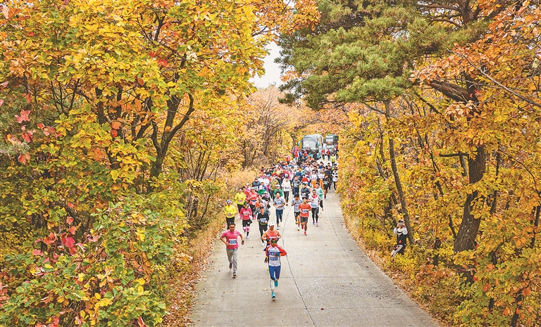 雞西：興凱湖旅遊公路入選國家級典型案例