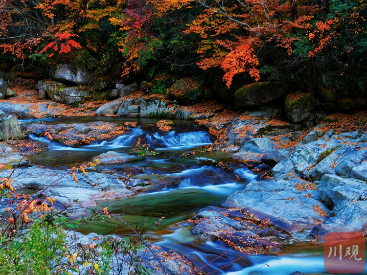 （转载）巴中：秋染光雾山，红叶如诗画