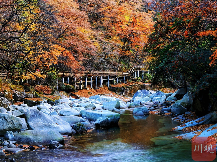 （转载）巴中：秋染光雾山，红叶如诗画