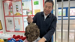【解读中原粮仓的密码】周口西华：看中国治土经验