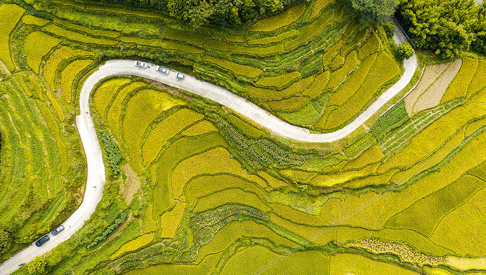 秋染梯田好“丰”景_fororder_20231024950a766847264ab89d3c5c0eb26f783f_2023102391b012ee9fc94155b6ac91e52d5ad7eb