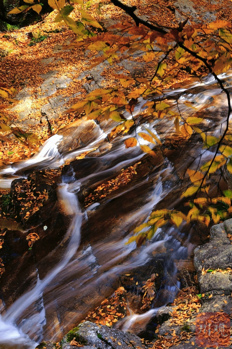 （转载）巴中：秋染光雾山，红叶如诗画