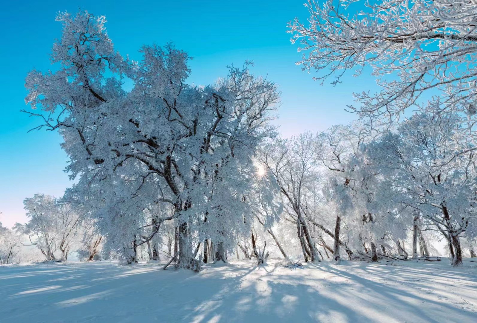 在四方頂邂逅“冰雪奇緣”