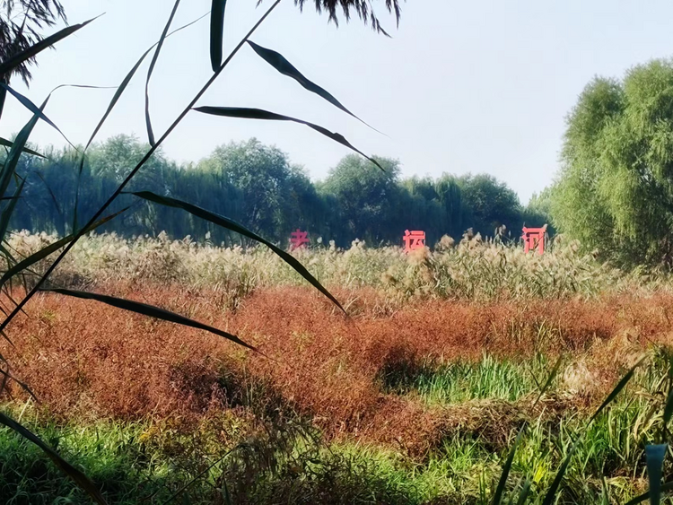 【原创】10月24日“大美湿地·润泽齐鲁”网络主题活动走进山东济宁_fororder_济宁1