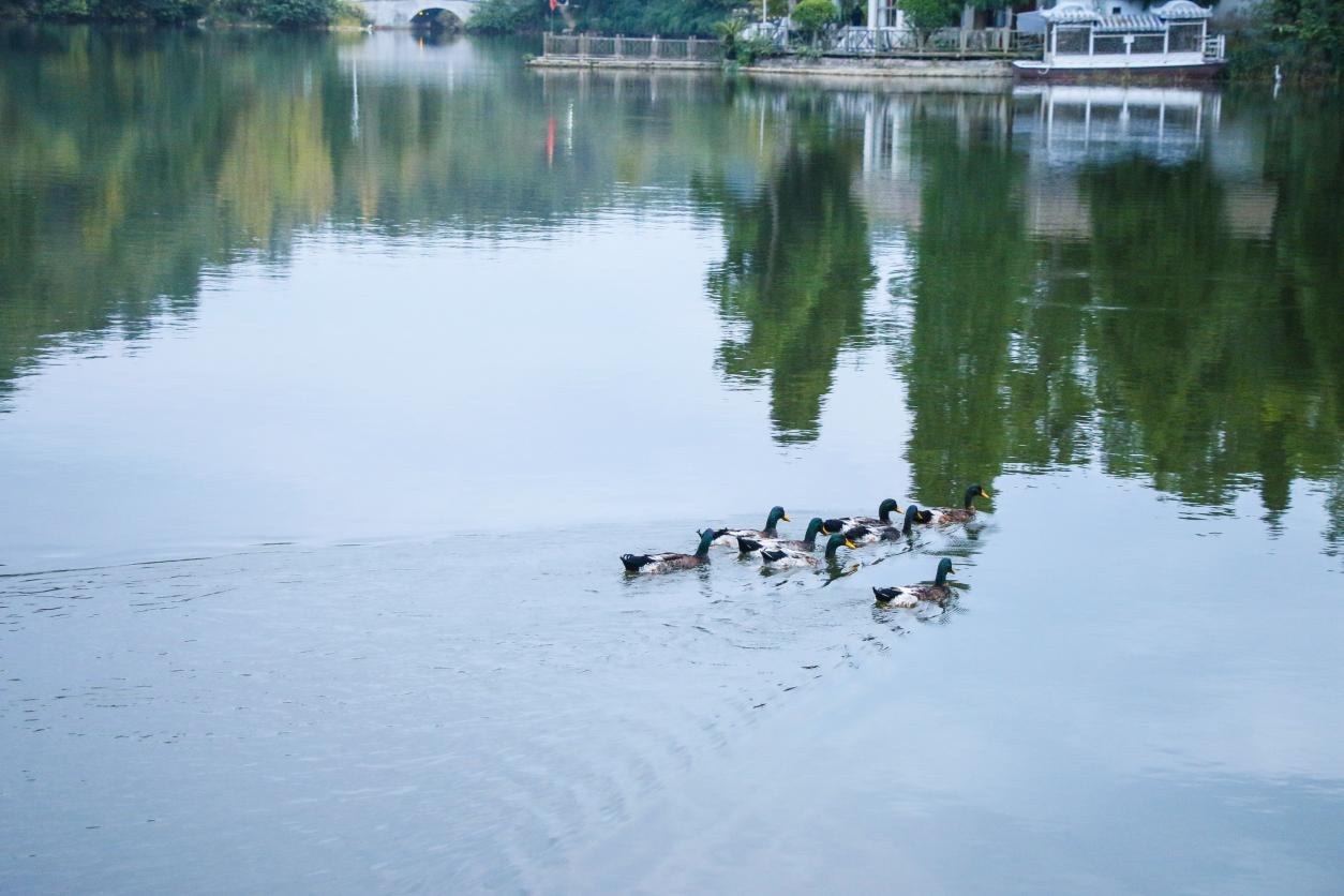 秋遊觀山湖公園 賞景旅拍兩不誤