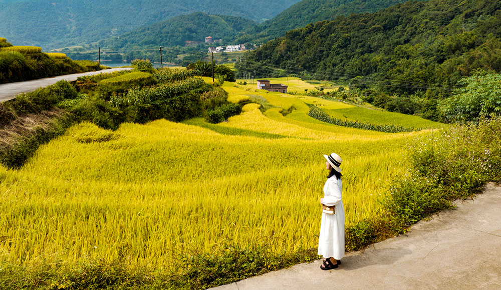 秋染梯田好“丰”景_fororder_20231024950a766847264ab89d3c5c0eb26f783f_202310237ae8a67e1cb64a82bbaa6333e8a4363f