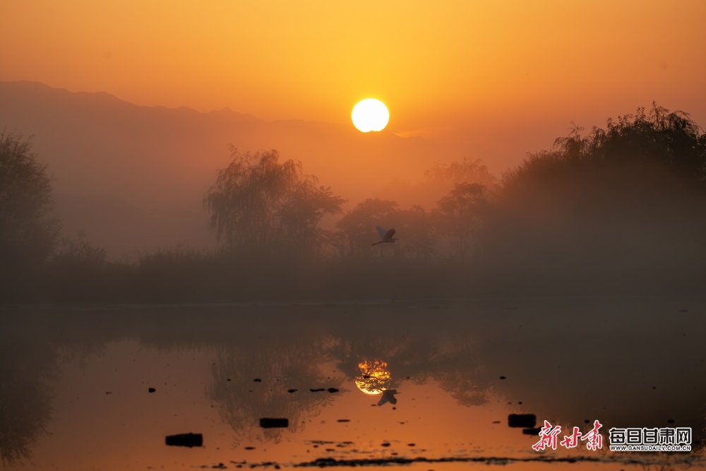 張掖濕地公園：霞光映碧水 晨霧飛白鷺_fororder_44