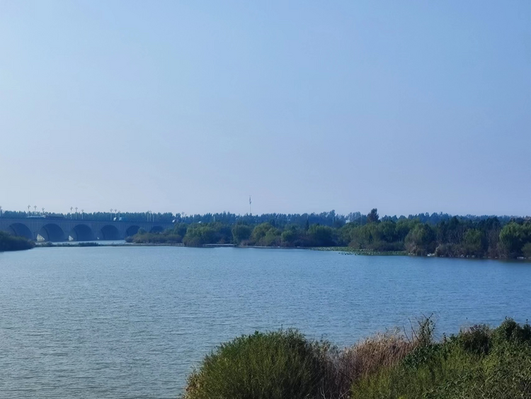 【原创】10月24日“大美湿地·润泽齐鲁”网络主题活动走进山东济宁_fororder_济宁2