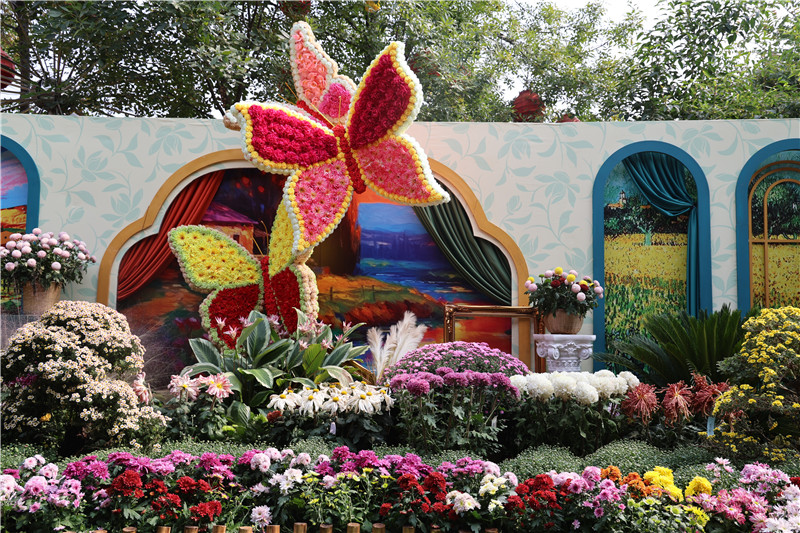 3.2 Million Pots of Chrysanthemums Adorn Kaifeng, Henan_fororder_12