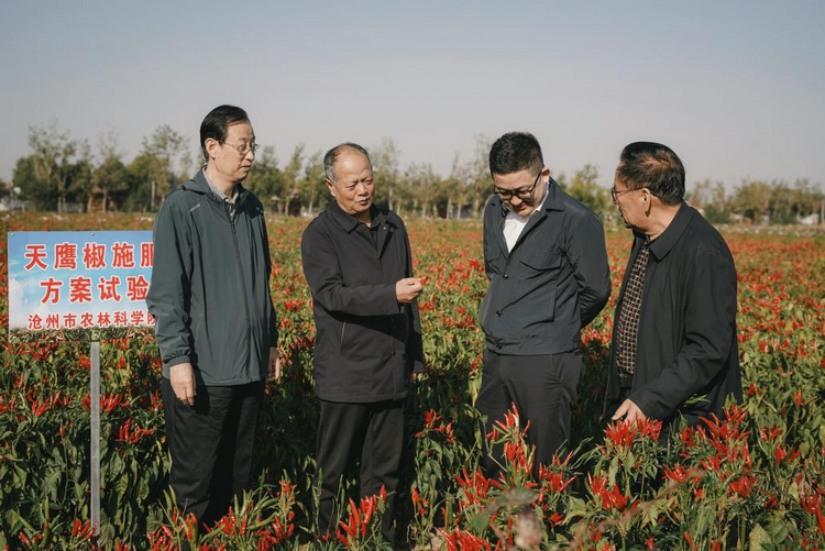 图片默认标题_fororder_图片1