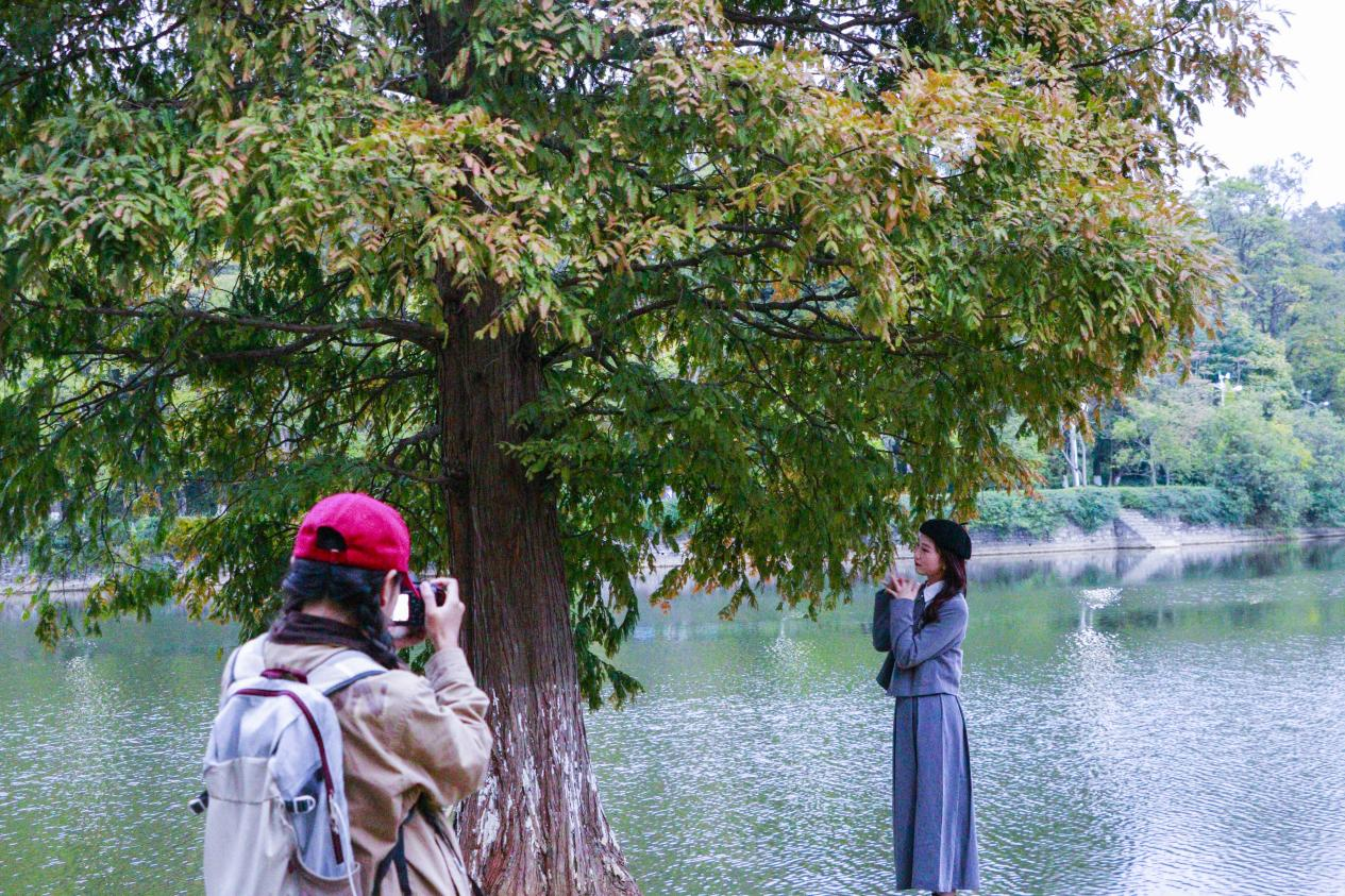 秋游观山湖公园 赏景旅拍两不误