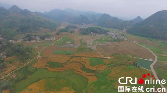貴州關嶺完善500畝以上壩區建設　助鄉村産業振興