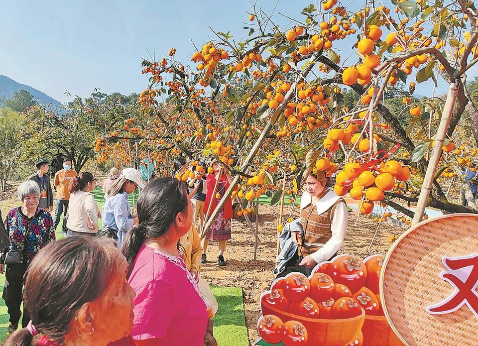 图片默认标题_fororder_0fac72d0-3adf-49fb-a9f3-adddc647b88a