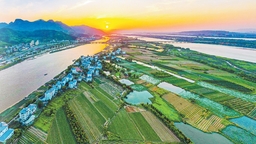 從“垃圾島”到鳥的天堂——塔礁洲濕地的可持續發展實踐