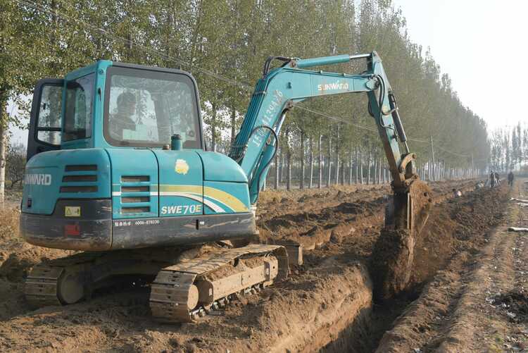 河北深州：白山药采收忙，拓宽村民增收路_fororder_图1：西辛庄村“小白嘴”山药收获现场。任玉静摄