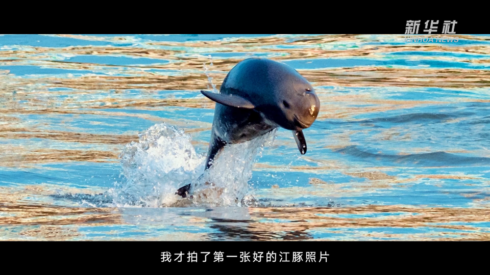 系列微纪录片《江河的微笑》第一集：追江豚