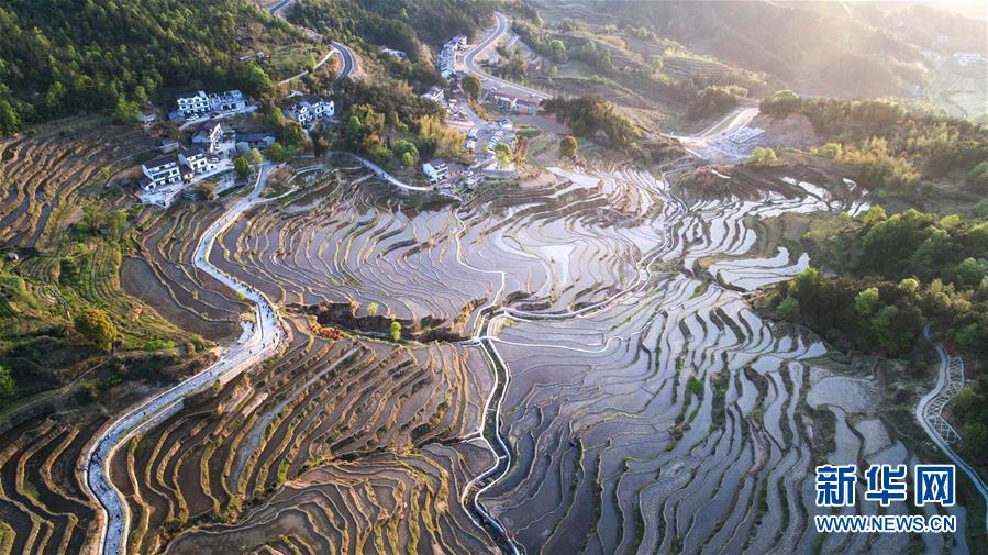 【大美荆楚  焦点图】湖北蕲春：雾云山梯田晨光