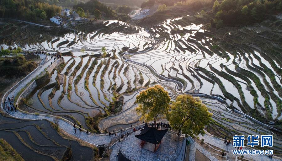 【大美荆楚  焦点图】湖北蕲春：雾云山梯田晨光