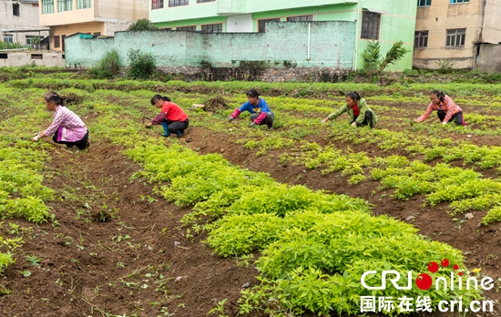 貴州關嶺2023年前三季度實現地區生産總值95.09億元_fororder_關嶺2