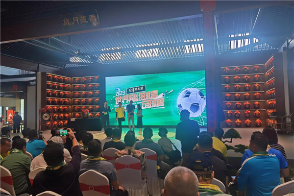 2023世界超级球星足球赛将于11月26日在武汉开赛_fororder_图片9