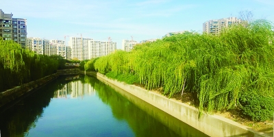 南京：北十里长沟西支成城北新景观