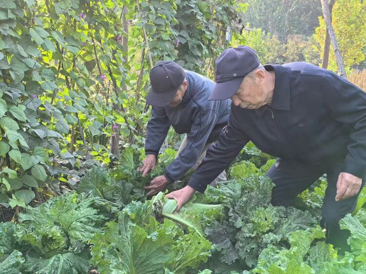 河北涞水：打造京津冀养老新高地_fororder_1