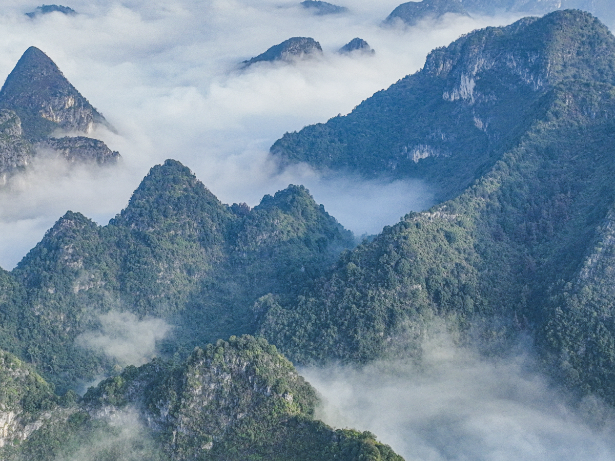 廣西鳳山：雲霧繚繞“峰”景美_fororder_圖片4_副本