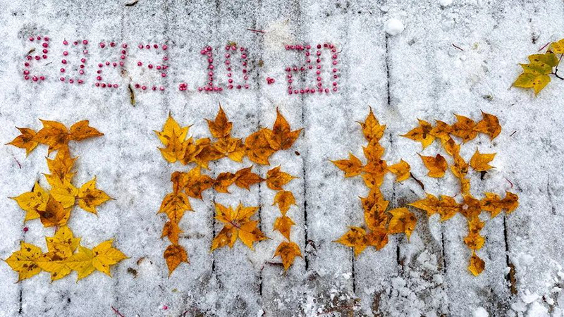 来四川看秋叶飘丹 山河尽染_fororder_雅安石棉王岗坪景区美景-供图-石棉县委宣传部