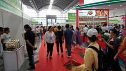 食博會在南寧舉辦 全國各地近400家企業展出2000多種特色食品