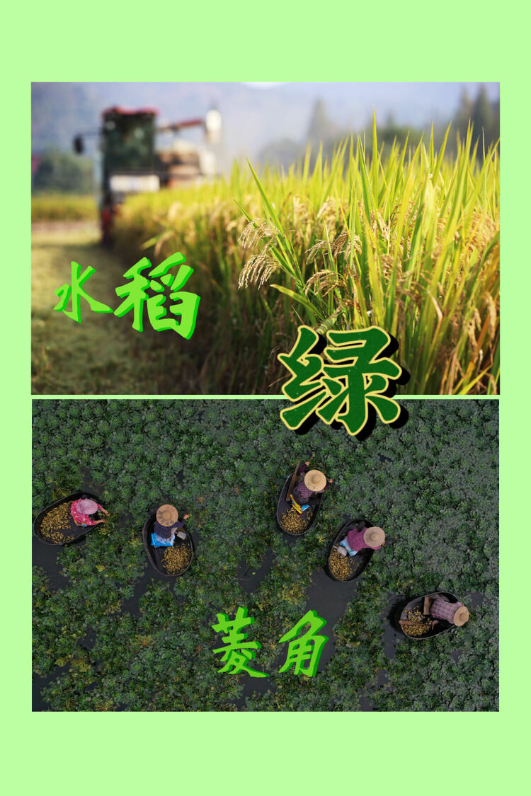 红橙黄绿青蓝紫，一起来看这希望的画卷！